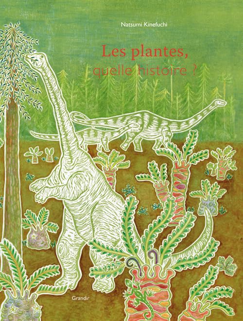 Les plantes, quelle histoire ? 9782841664146