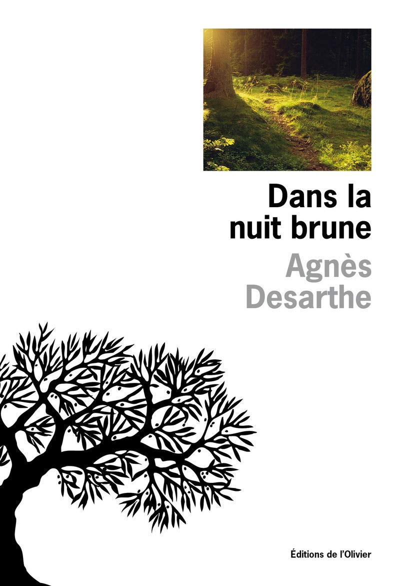 Dans la nuit brune 9782879296975