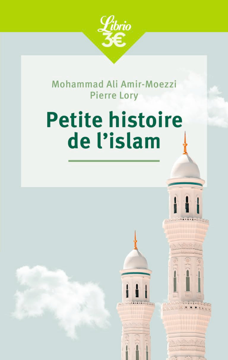 Petite histoire de l'islam 9782290393796