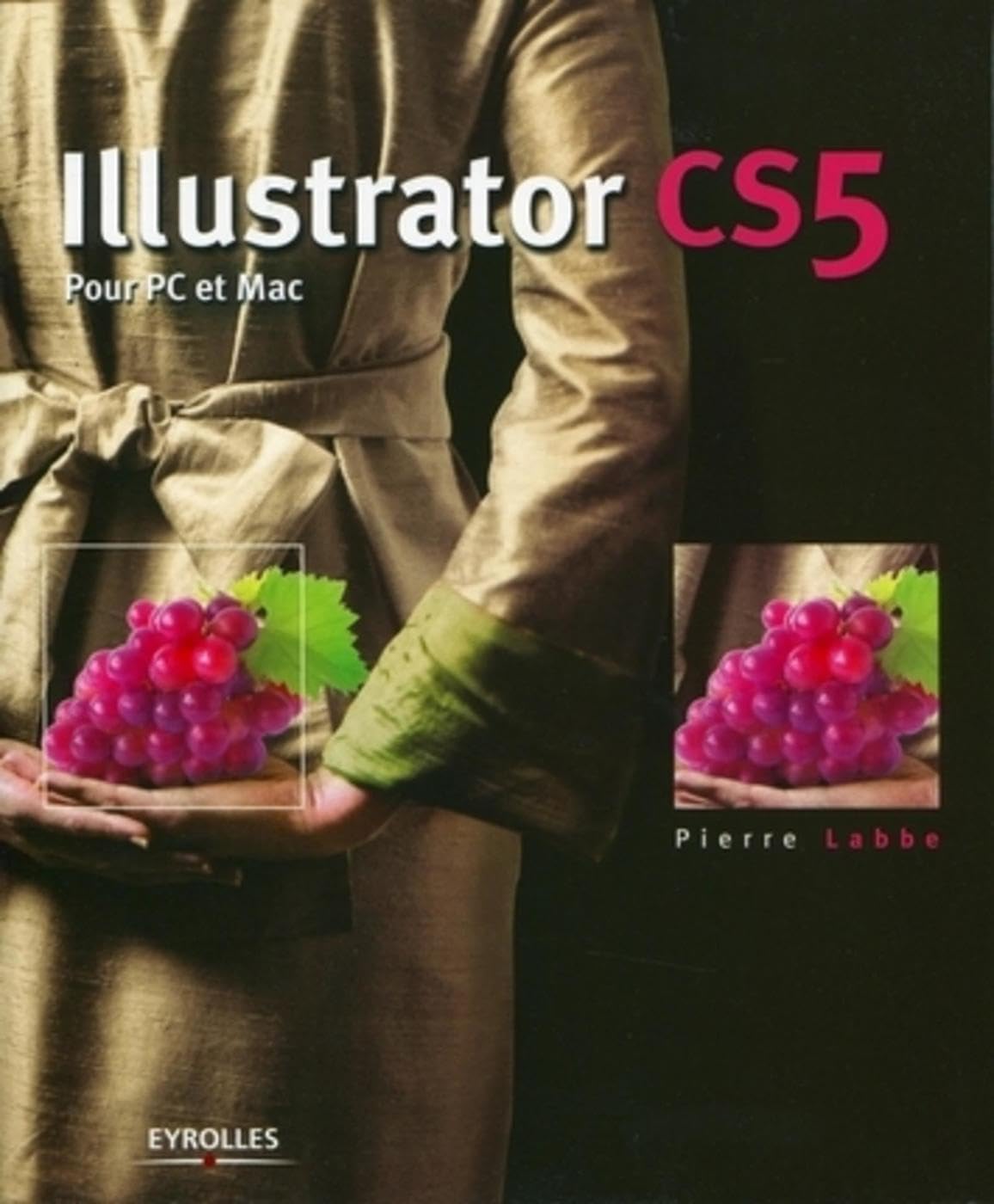 Illustrator CS5: Pour PC et Mac. 9782212128758