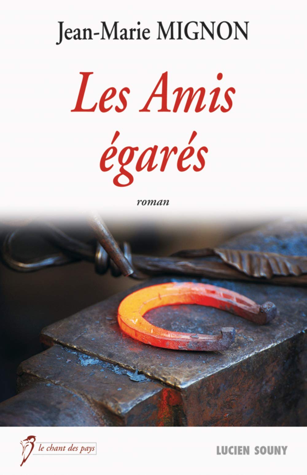 Les amis égarés 9782848866055
