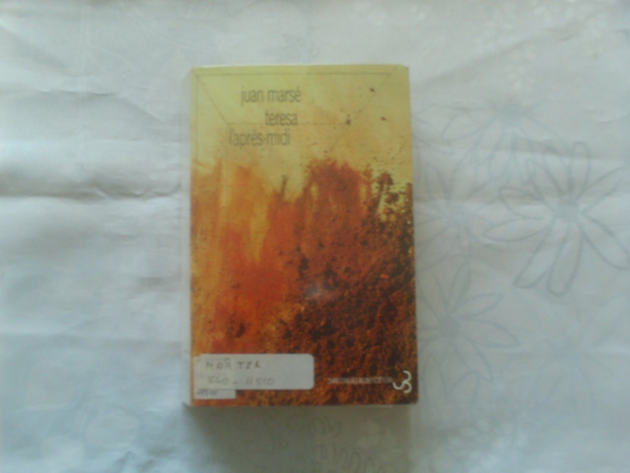 Teresa l'après-midi 9782267007886