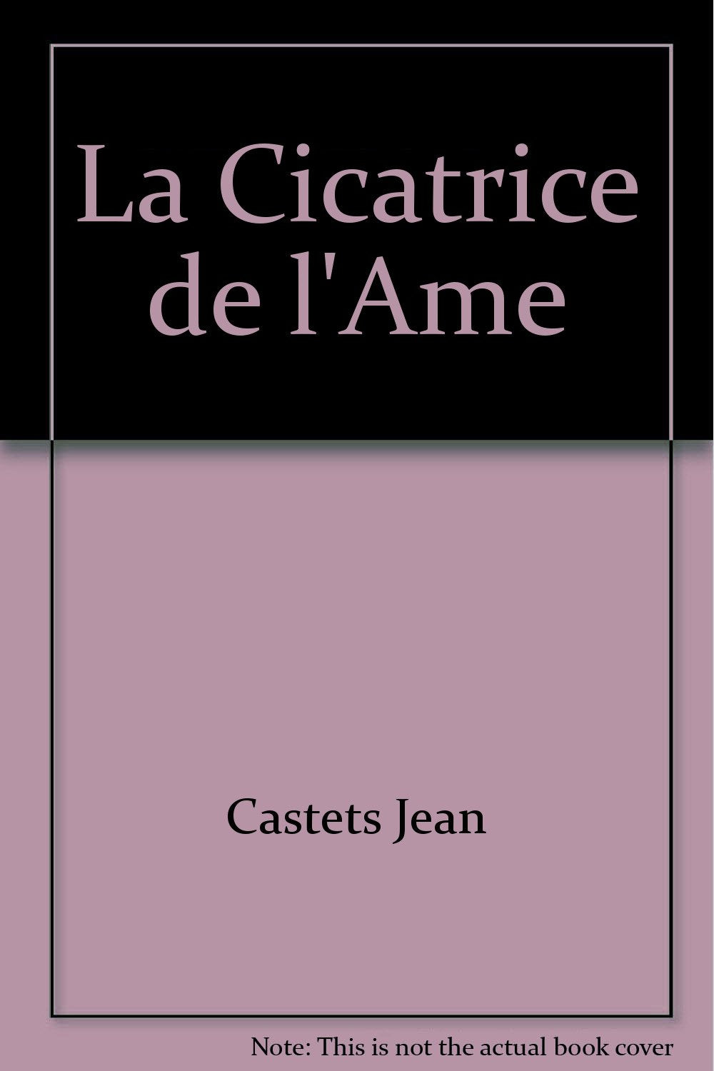 La Cicatrice de l'Ame 9782748009156