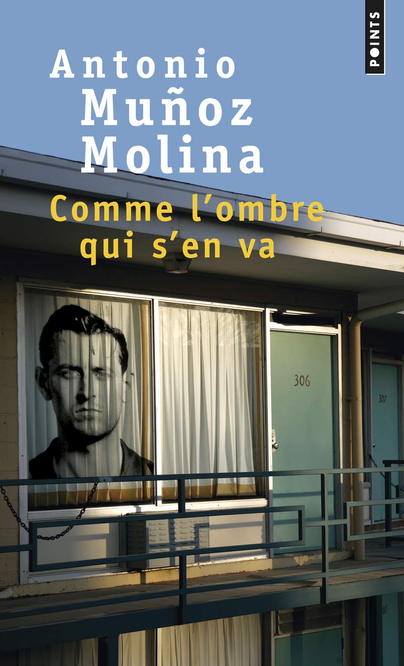 Comme l'ombre qui s'en va 9782757868751