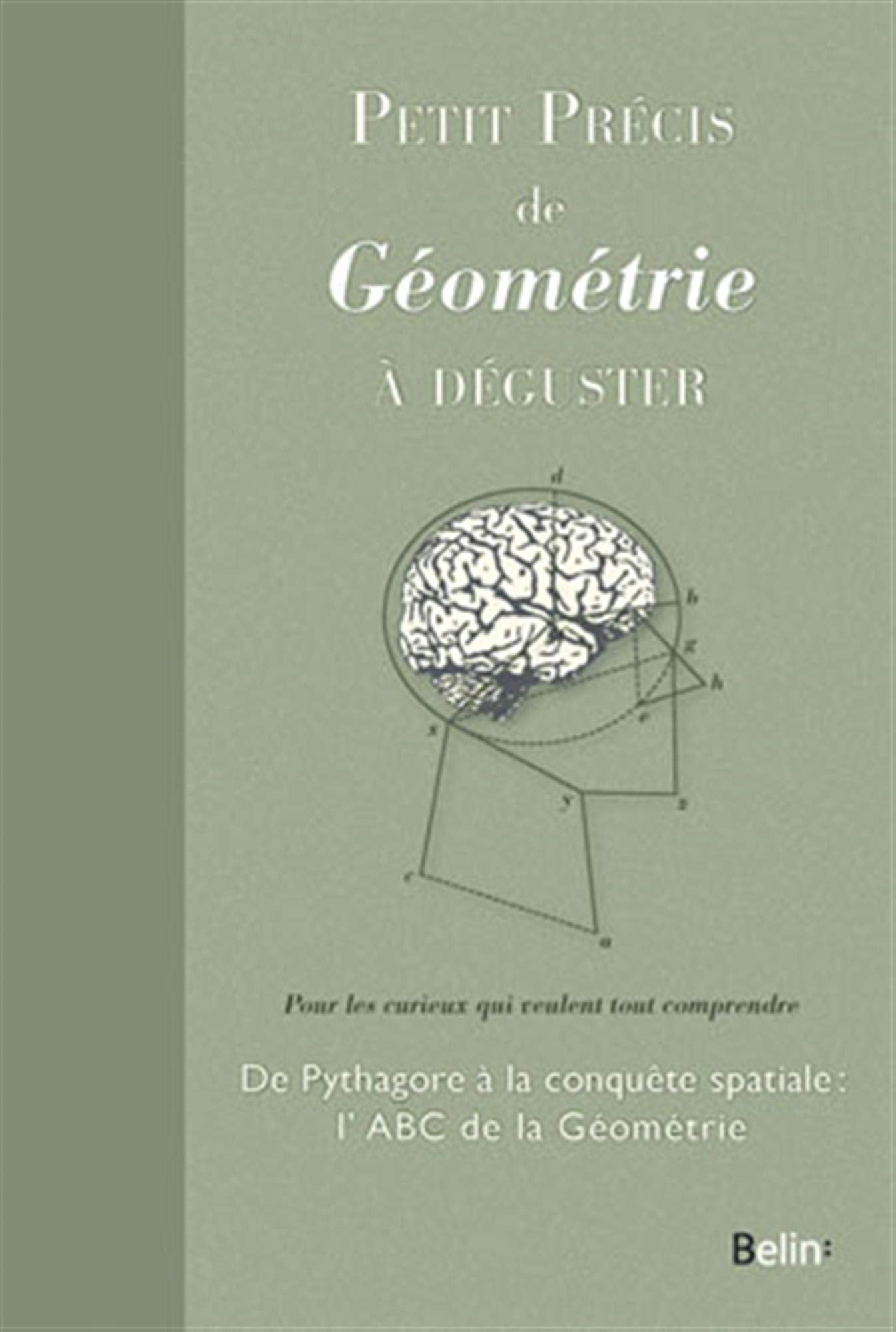 Petit précis de géométrie à déguster 9782701159577