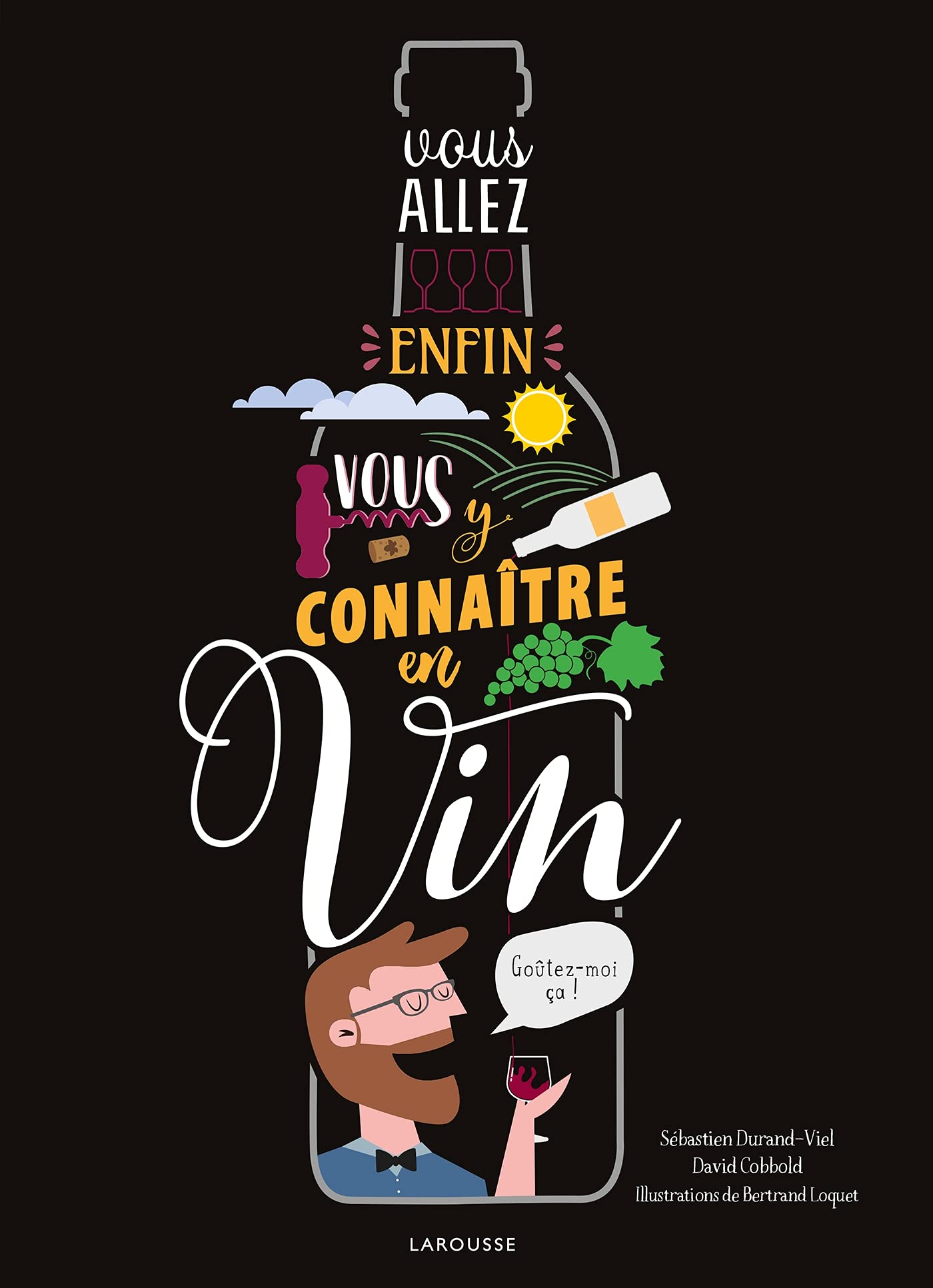 Vous allez enfin vous y connaître en vin 9782036009837