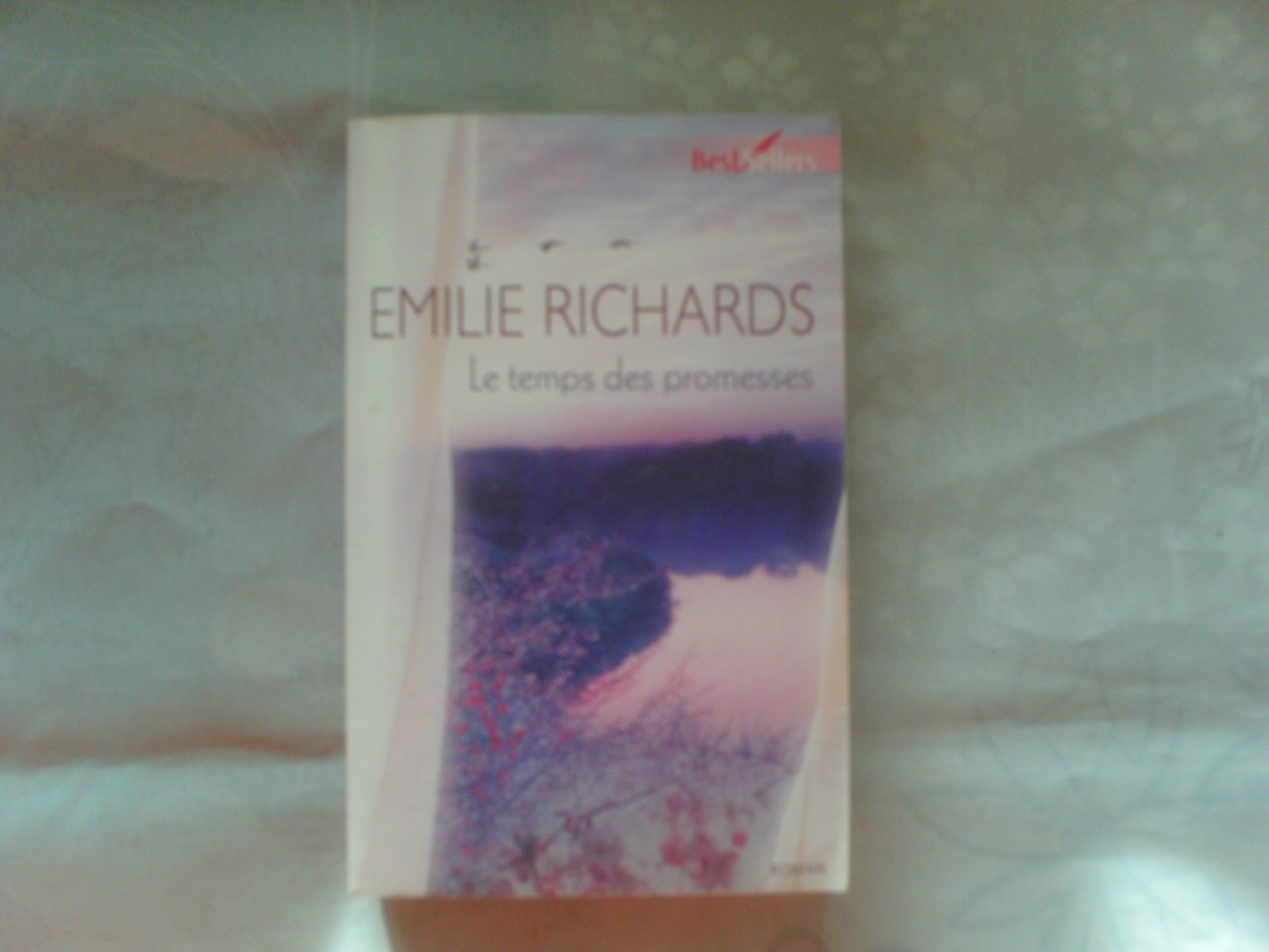 Le temps des promesses 9782280809634