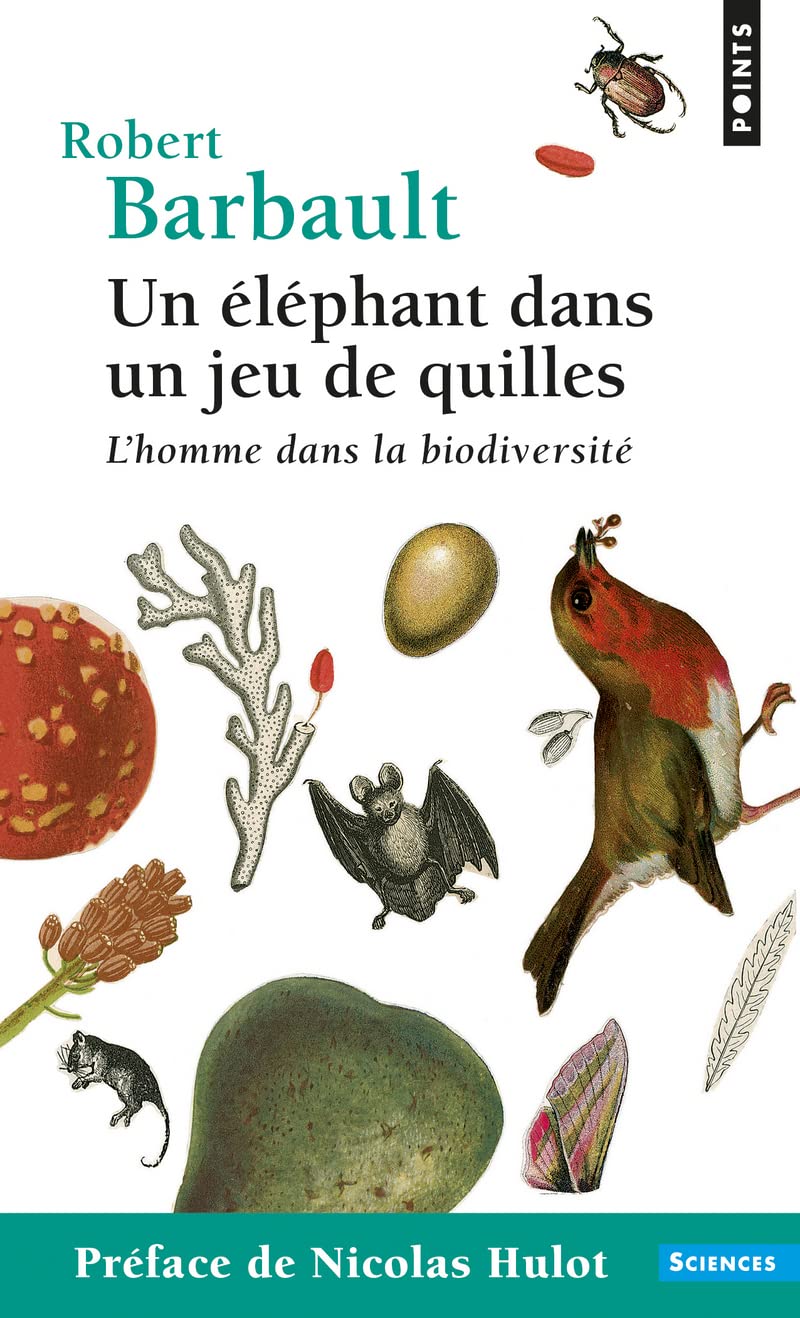 Un éléphant dans un jeu de quilles 9782757806951