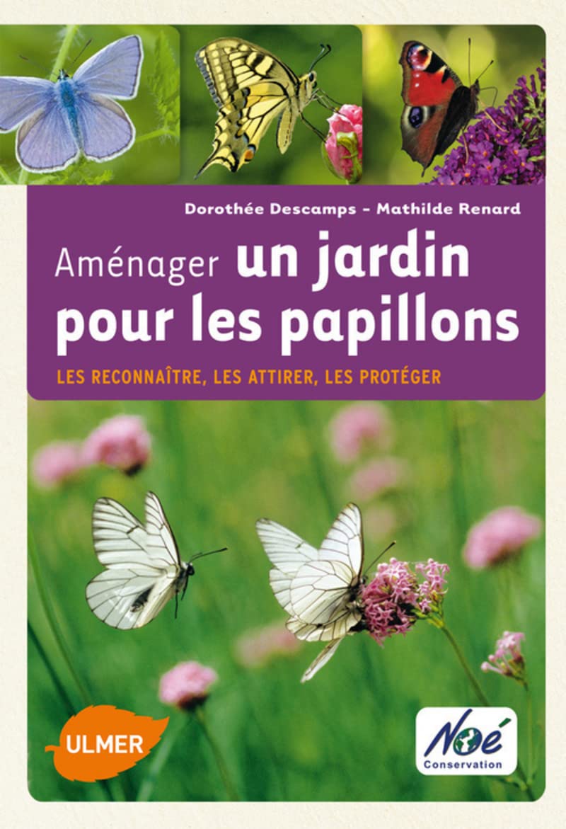Aménager un jardin pour les papillons. Les reconnaître, les attirer, les protéger 9782841384372