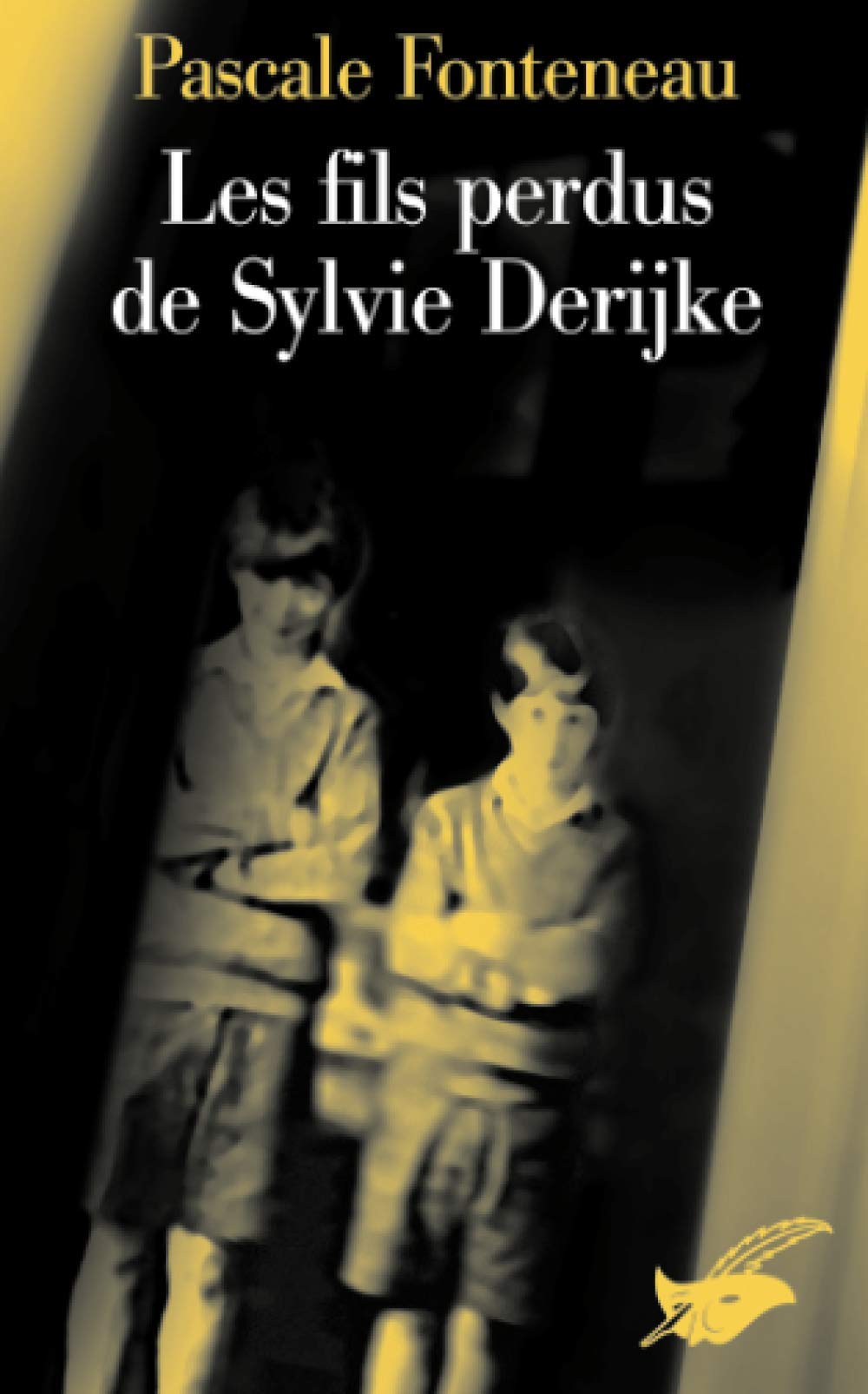 Les fils perdus de Sylvie Derikje 9782702432891