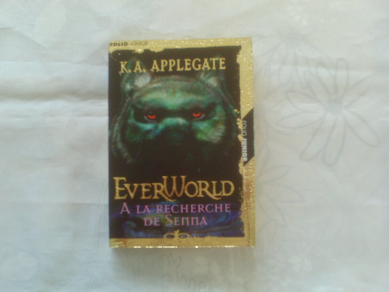 Everworld, tome 1 : à la recherche de Senna 9782070543663