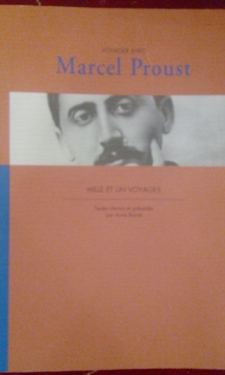 Mille et un voyages 9782910491031