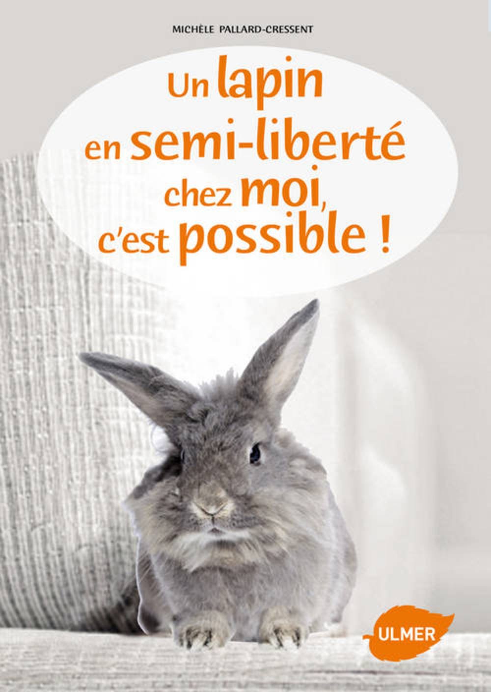 Un lapin en semi liberté chez moi c'est possible 9782841385997