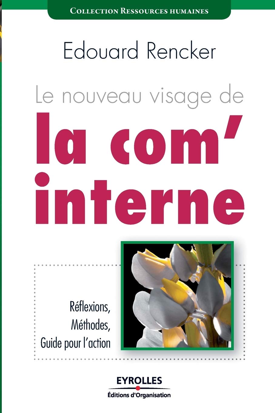 Le nouveau visage de la com' interne : Réflexionx, méthodes, guide pour l'action 9782212539868