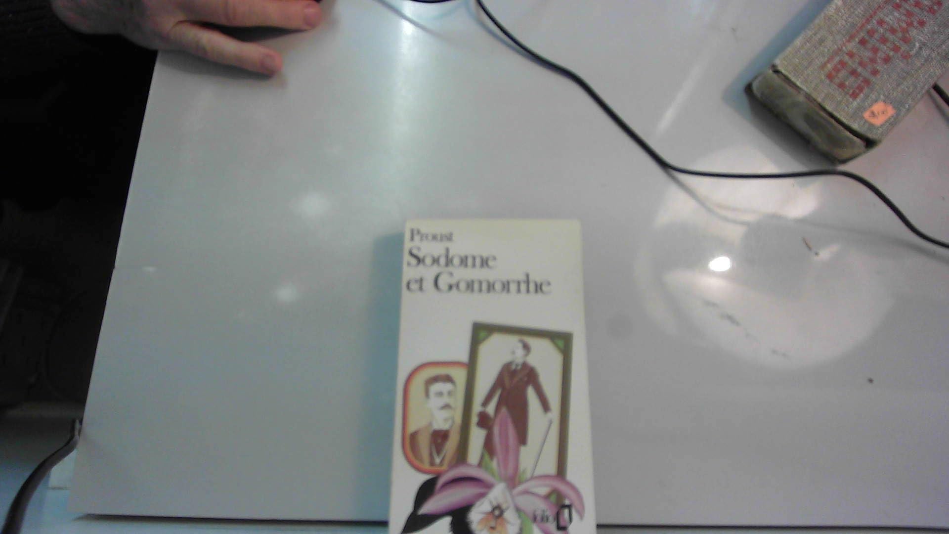 À la recherche du temps perdu, tome 5 : Sodome et Gomorrhe 9782070361021