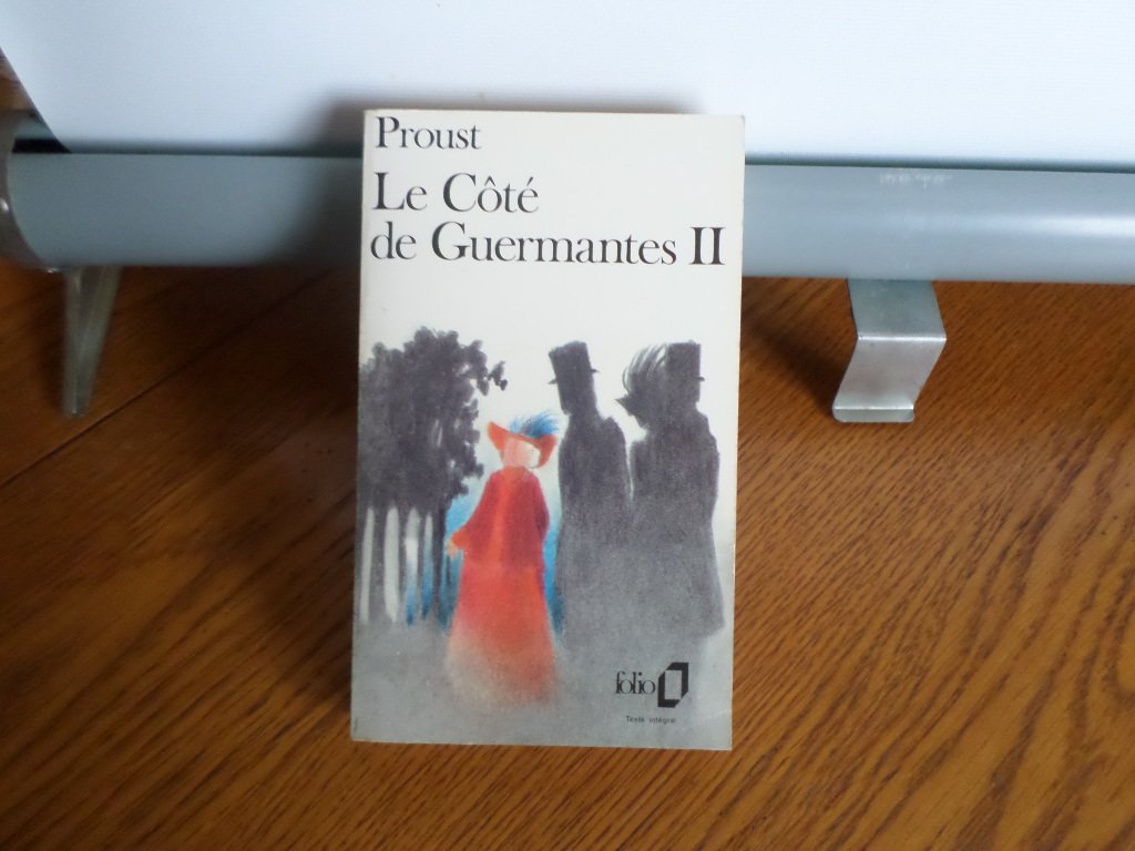 À la recherche du temps perdu Le Côté de Guermantes Tome 2 9782070381906