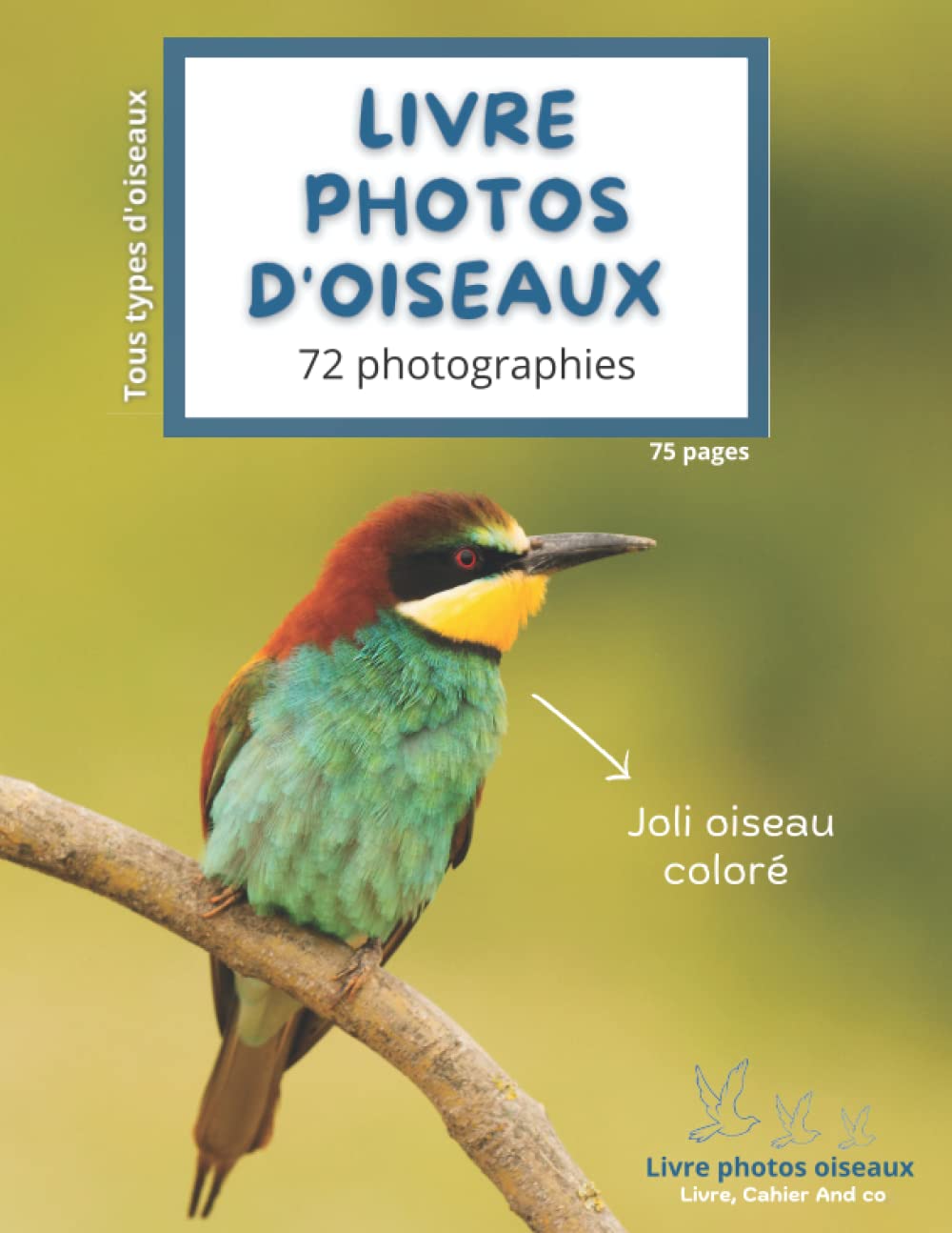 Livre photo oiseaux: 72 photographies d'oiseaux différents 9798844407680