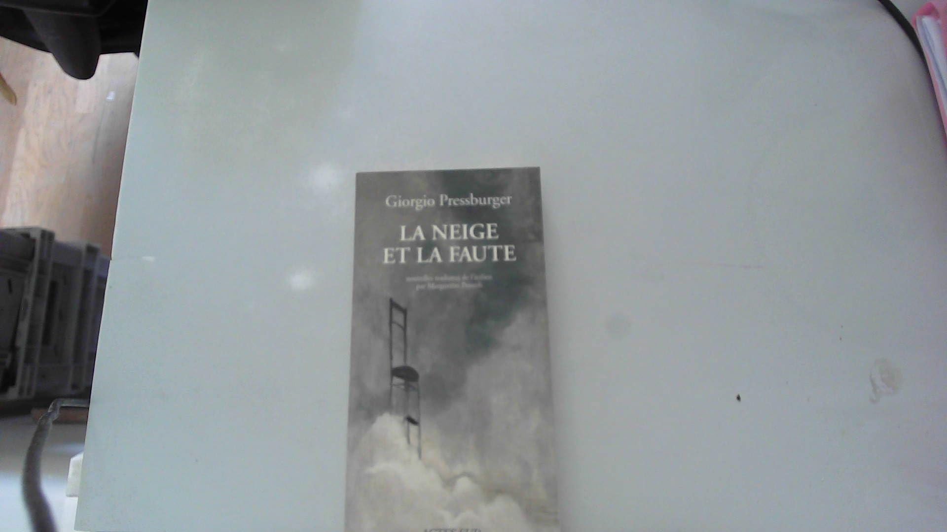 La Neige et la Faute 9782742736874