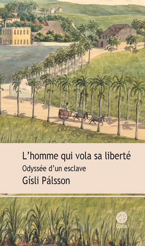 L'homme qui vola sa liberté: Odyssée d'un esclave 9782847208290