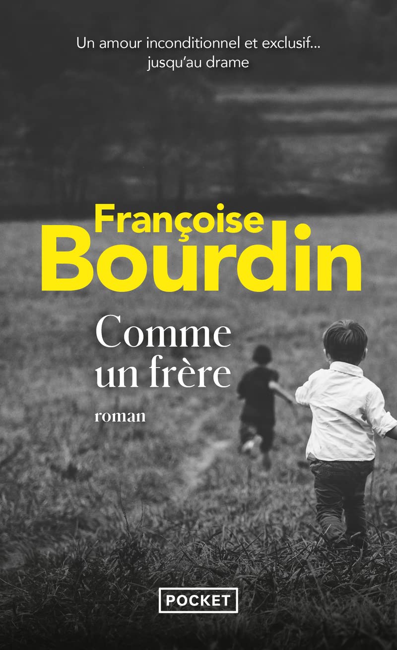 Comme un frère 9782266229227