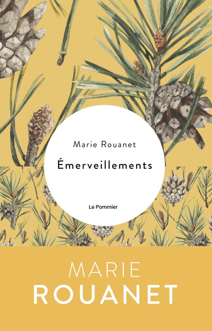 Émerveillements 9782746525764