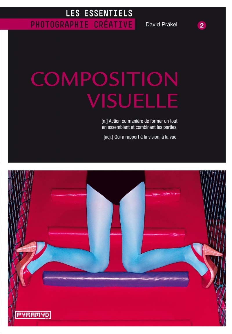 Composition visuelle 9782350173122