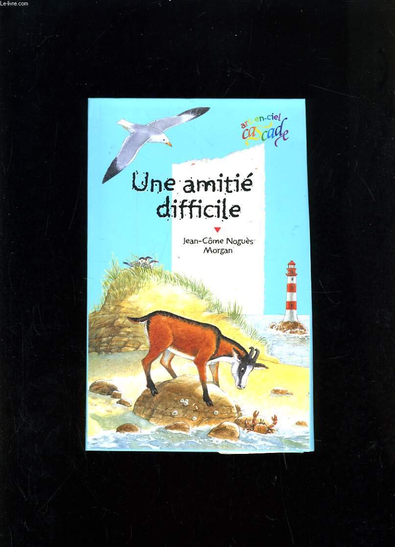 Une amitié difficile 9782700226782