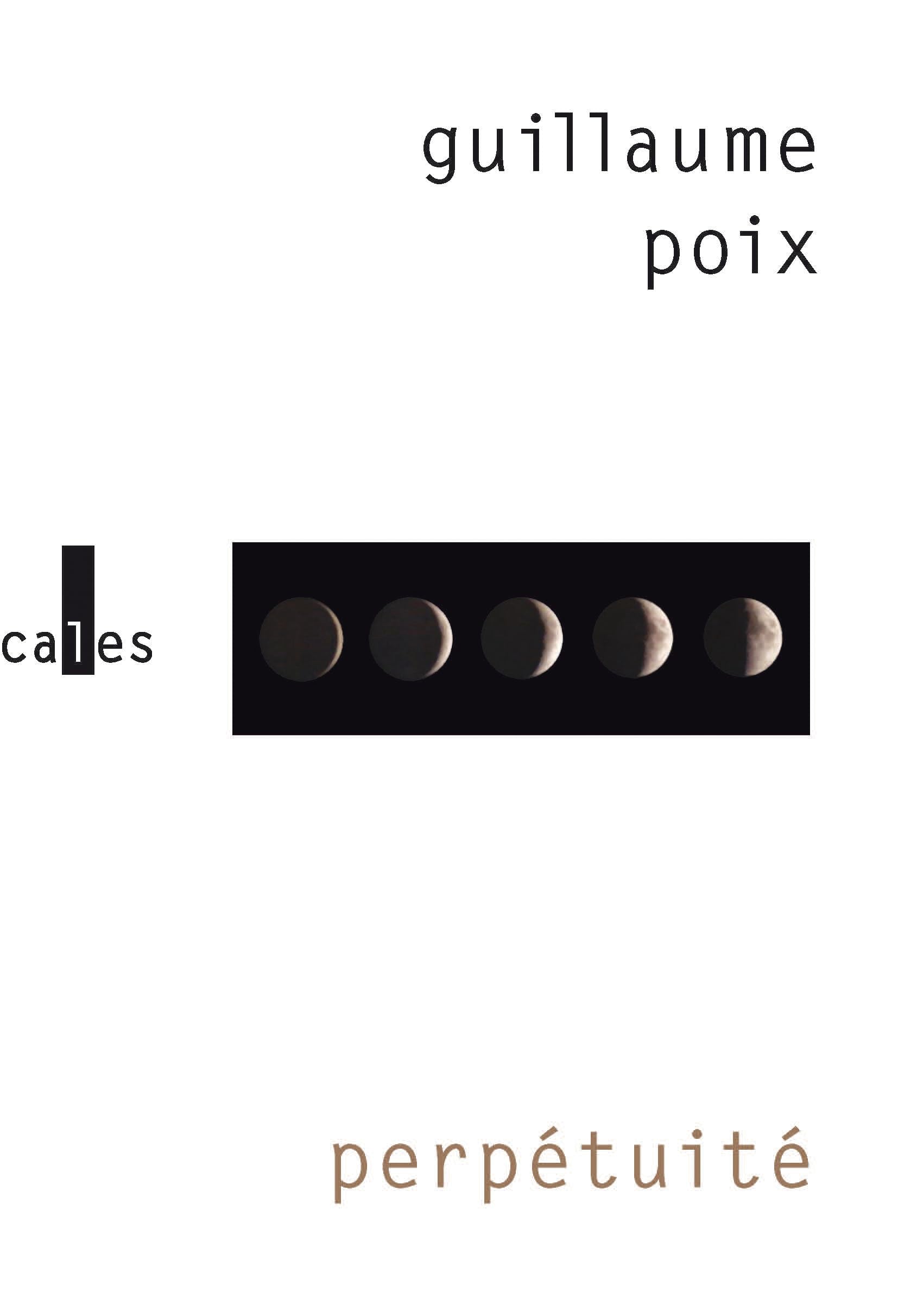 Perpétuité 9782073105455