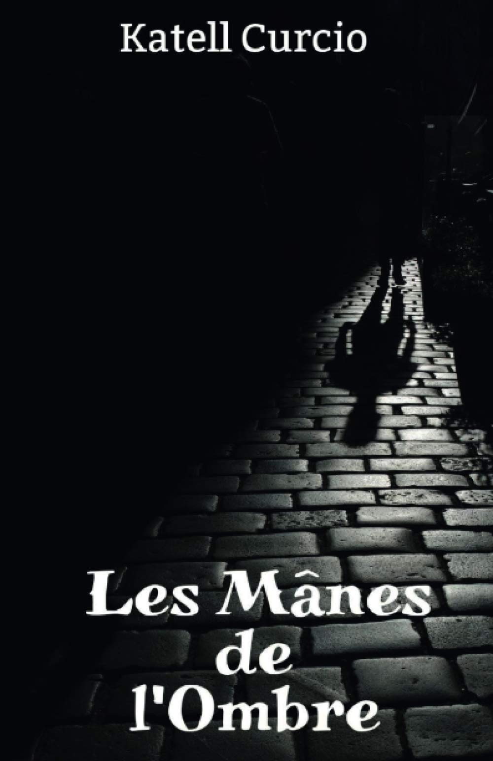 Les manes de l ombre 9791026235057