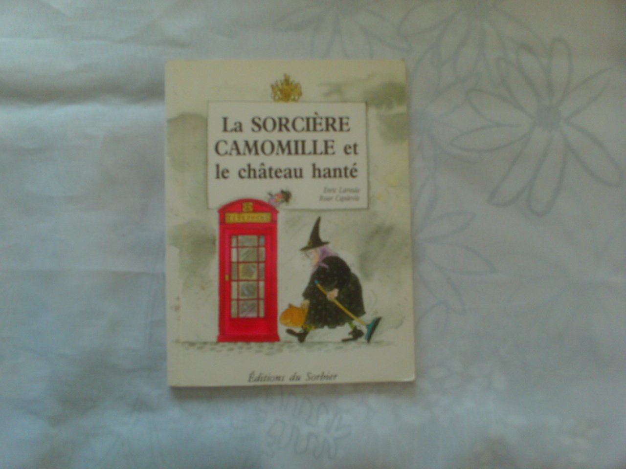 La Sorcière Camomille et le Château hanté 9782732033235