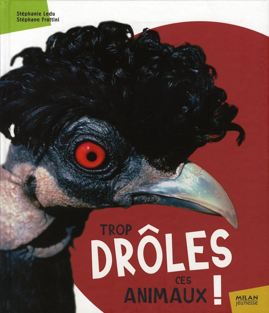 Trop drôles ces animaux ! 9782745938770