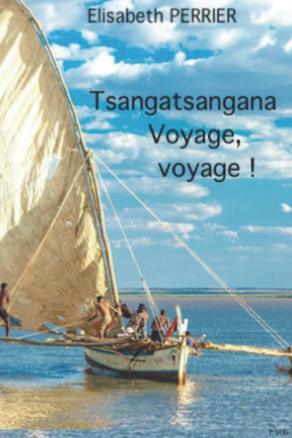 Tsangatsangana Voyage, voyage ! 9798563116856