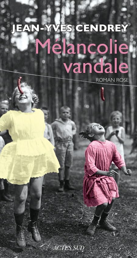 Mélancolie vandale: Roman rose 9782330002312