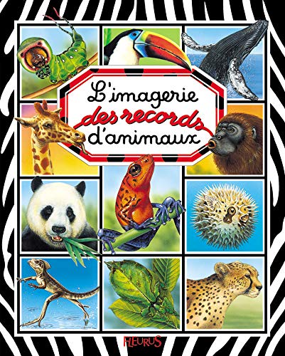 L'Imagerie des records d'animaux 9782215069201