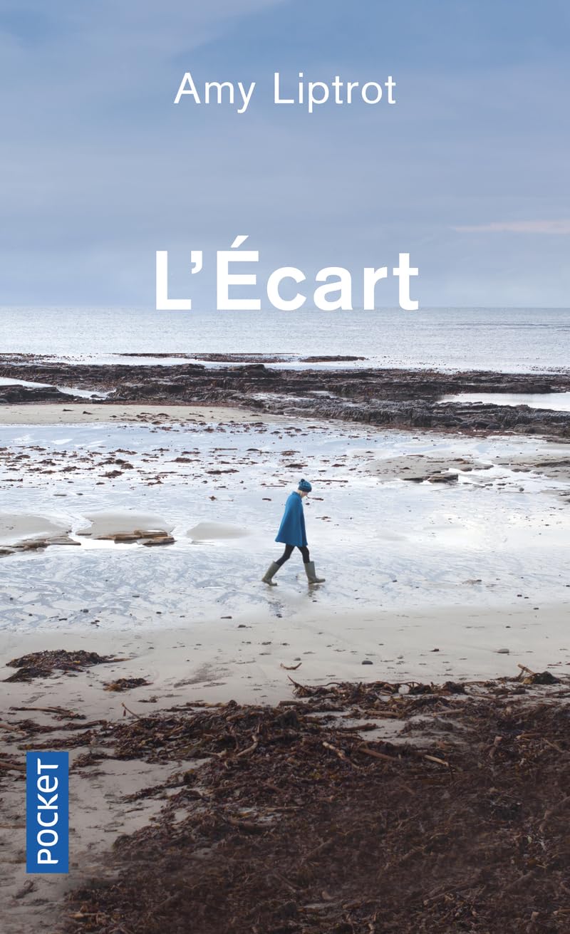 L'Écart 9782266295833