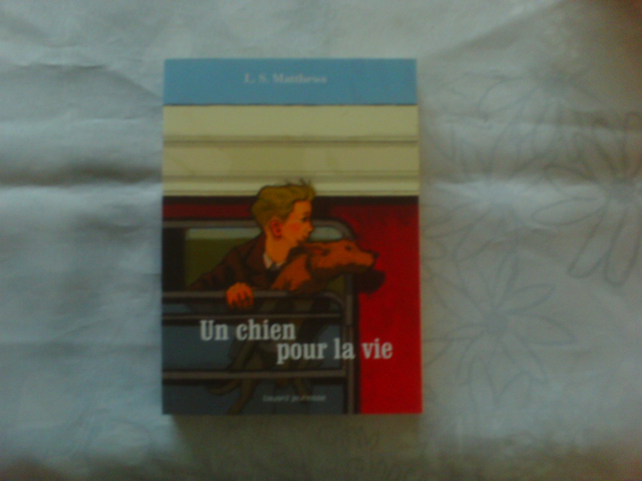 Un chien pour la vie: Ou l'histoire d'un voyage inoubliable 9782747024433
