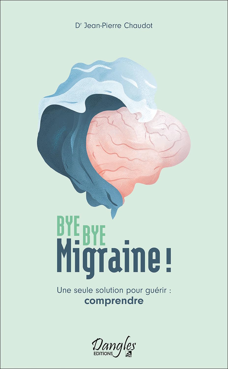 Bye bye migraine ! Une seule solution pour guérir : comprendre 9782703312802