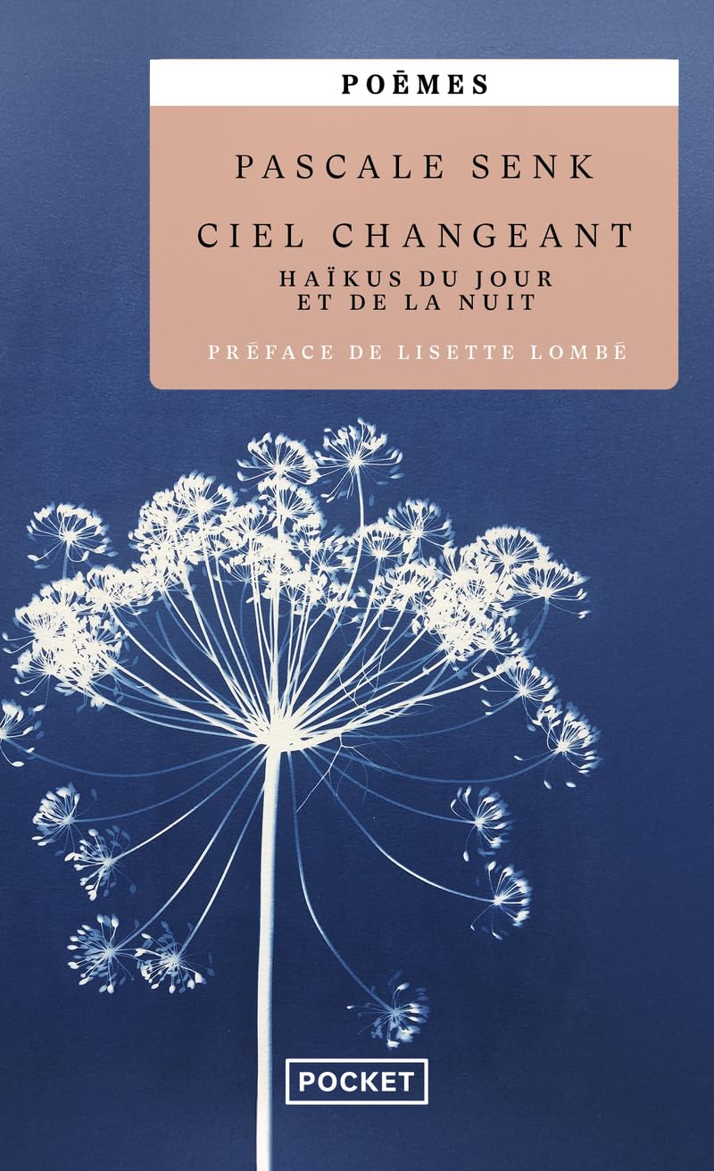 Ciel changeant - Haïkus du jour et de la nuit 9782266353373