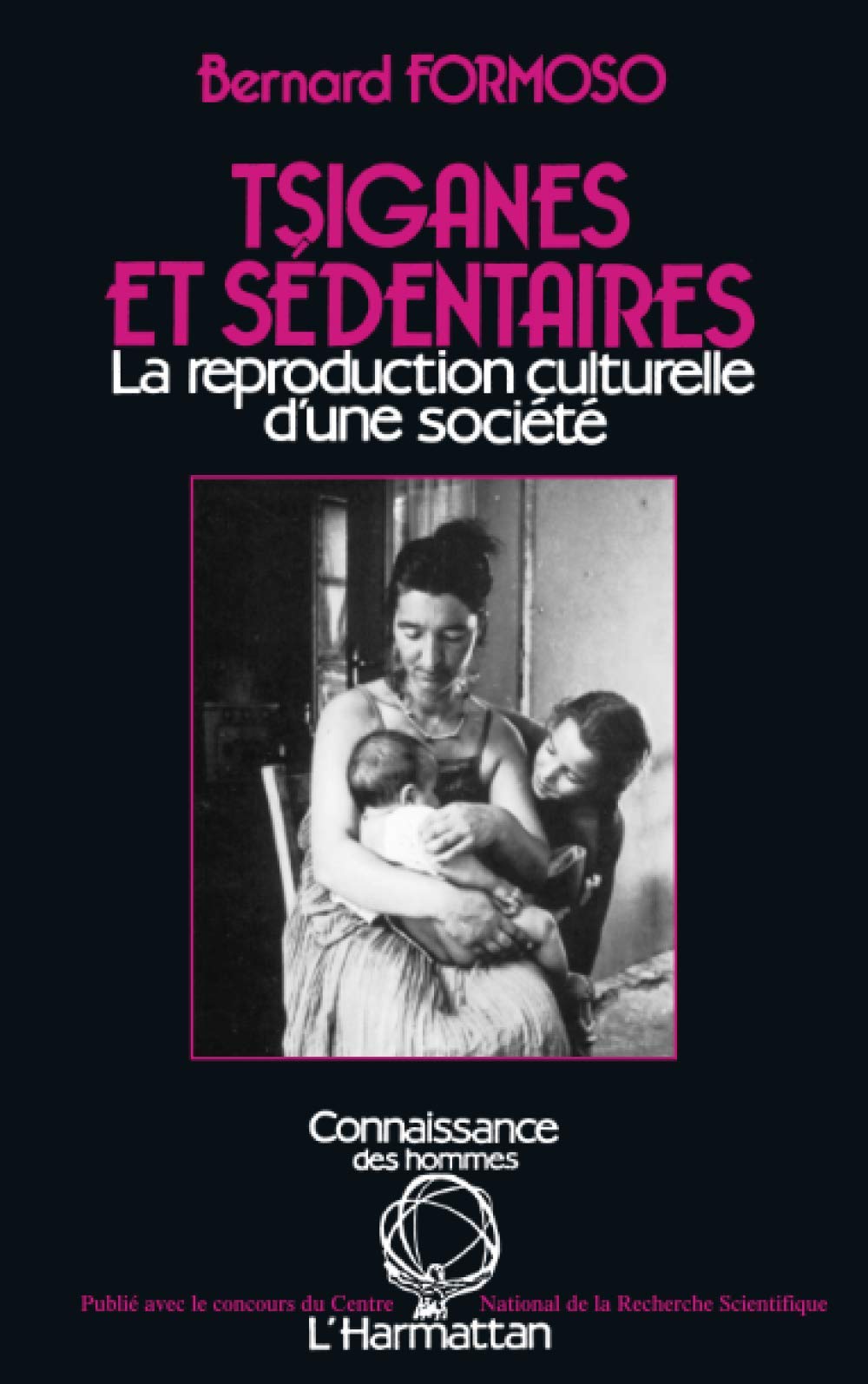 Tsiganes et sédentaires: La reproduction culturelle d'une société 9782858027477