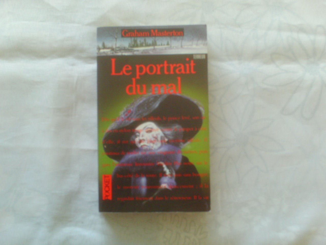 Le Portrait du mal 9782266030434