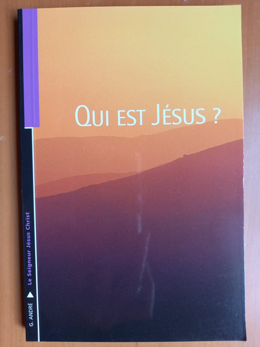 Qui est Jésus ? 9782879070728