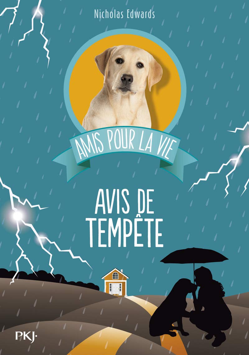 Amis pour la vie - tome 02 : Avis de tempête (2) 9782266230698