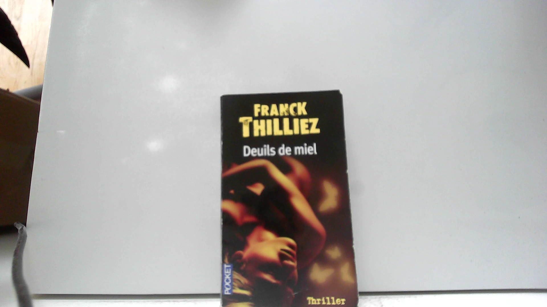 DEUILS DE MIEL 9782266166348