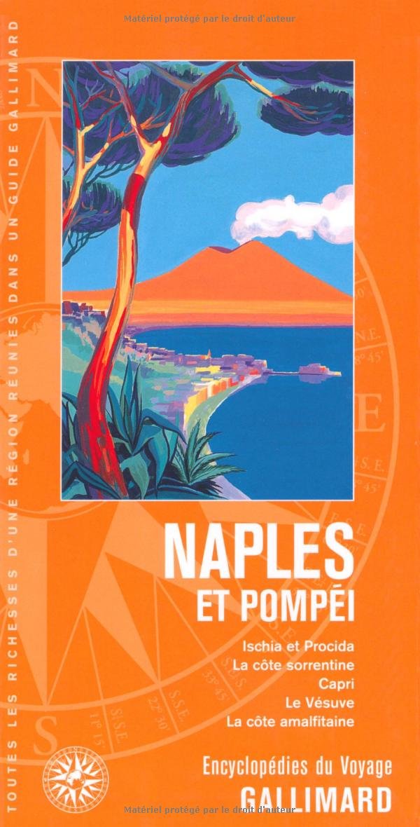 Naples et Pompéi 9782742422005