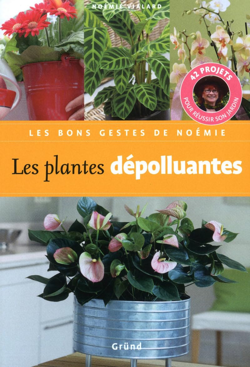 PLANTES DEPOLLUANTES 9782700029123