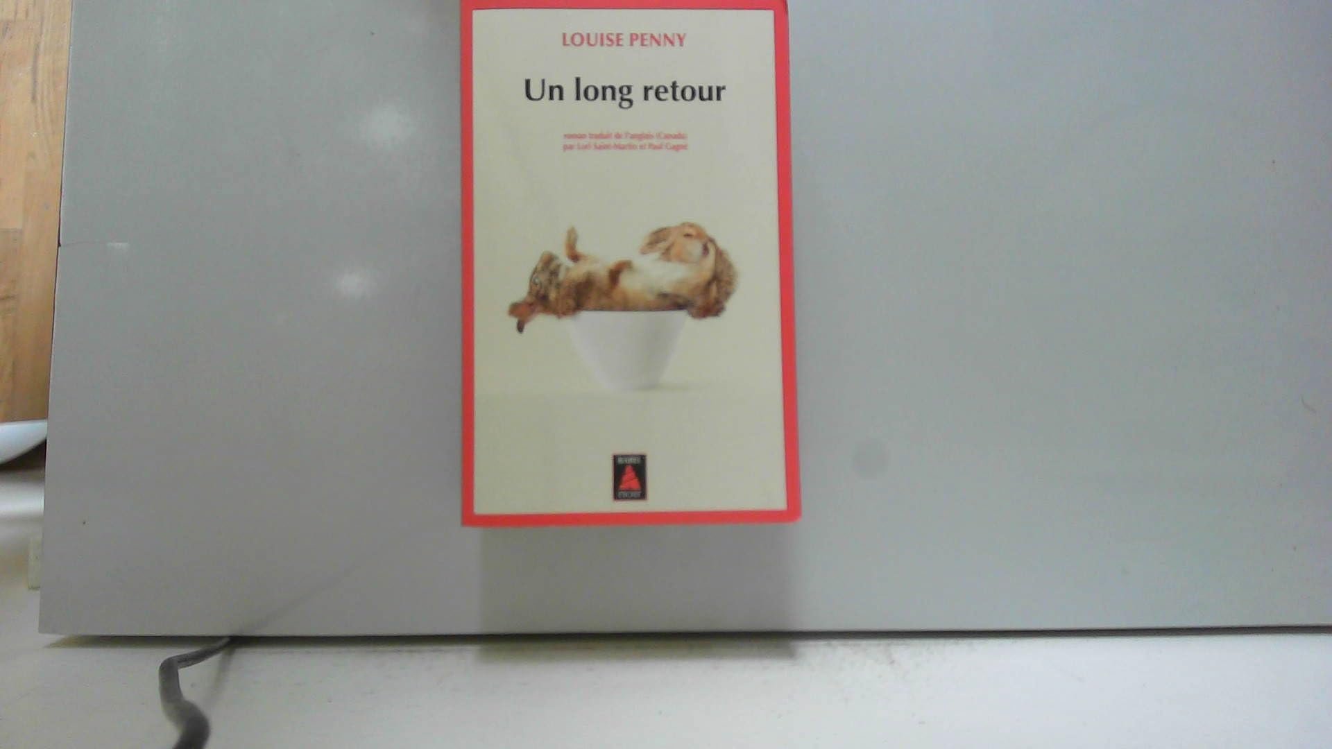 Un long retour 9782330159603