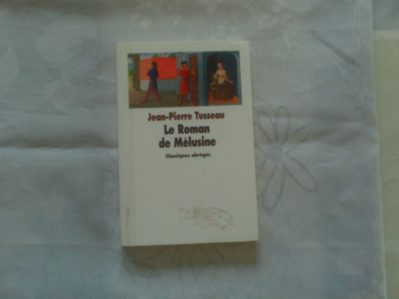 Le Roman de Mélusine 9782211073790