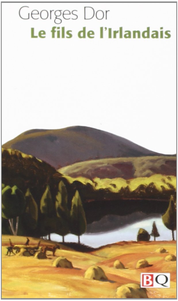 Le fils de l irlandais 9782894061893