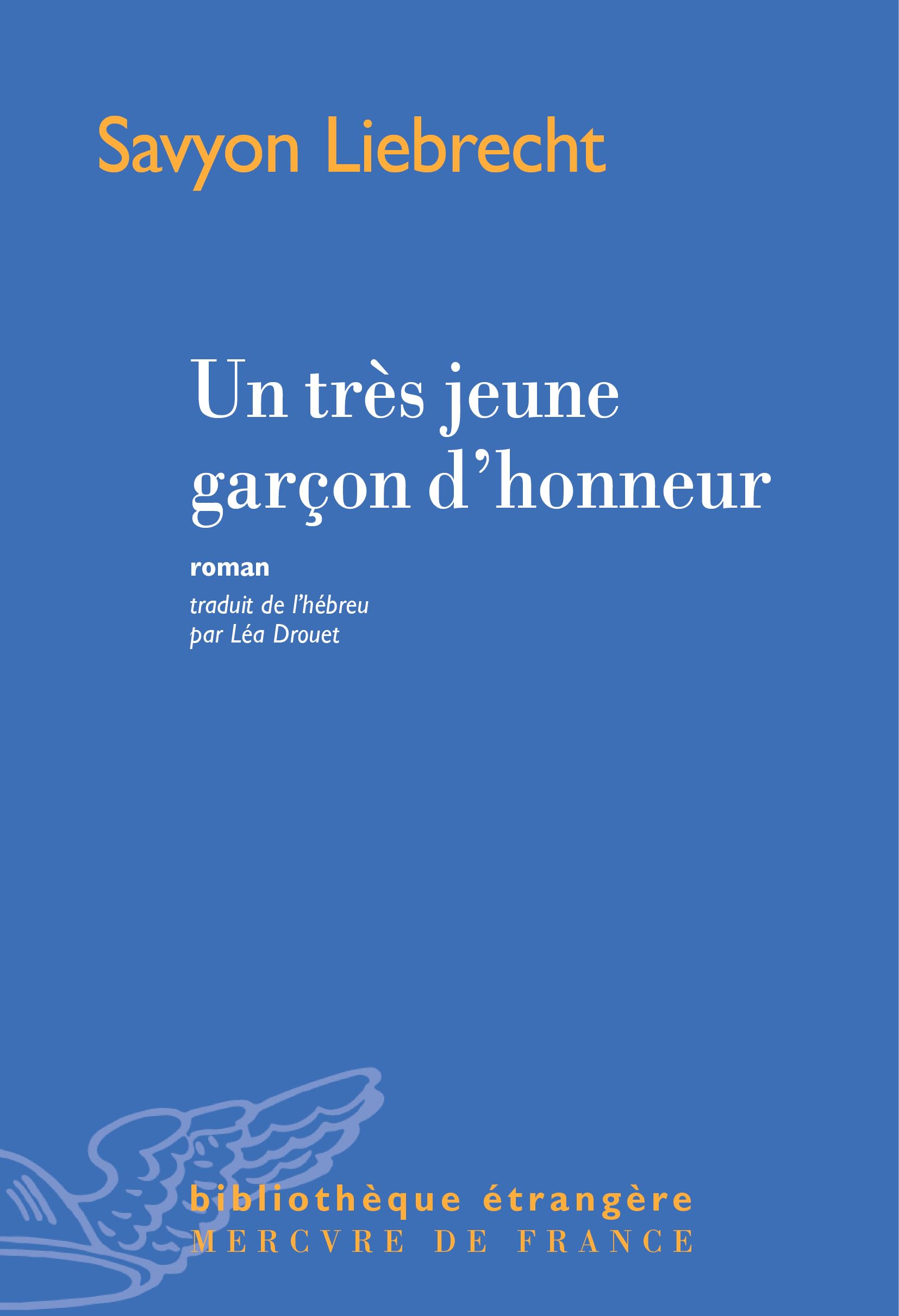 Bronx amer: Treize nouvelles 9782715234789