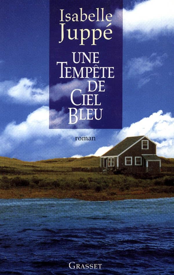 Une tempête de ciel bleu 9782246539018